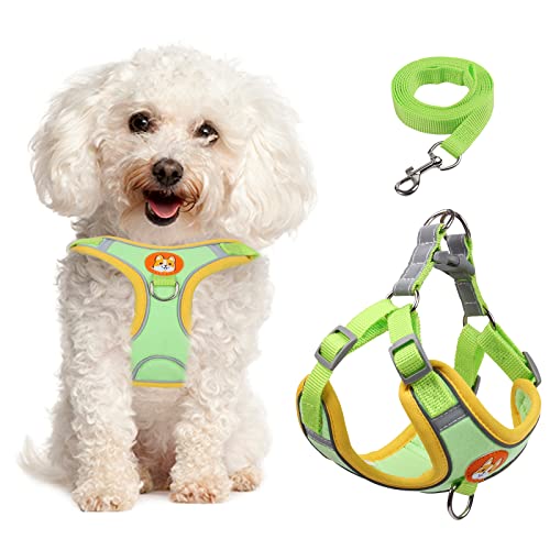 Kleines Hundegeschirr, kein Ziehen, verstellbares Hundegeschirr und Leine, Set mit 2 Leinenclips, reflektierend, weich gepolstert, mittelgroße Hunde (L (Ref: 15.4 bis 10 kg), grün) von Babyfond