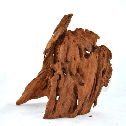 Bachflohkrebse Mangrovenwurzel für Aquarien und Terrarien 28-35 cm Wurzel Mangroven Bachflohkrebse Mangrovenwurzel für Aquarien und Terrarien 28-35 cm Wurzel Mangroven von Bachflohkrebse