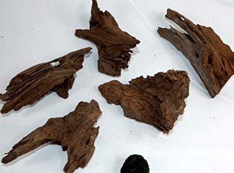 Bachflohkrebse Mangrovenwurzel für Aquarien und Terrarien 12-15 cm Wurzel Mangroven von Bachflohkrebse