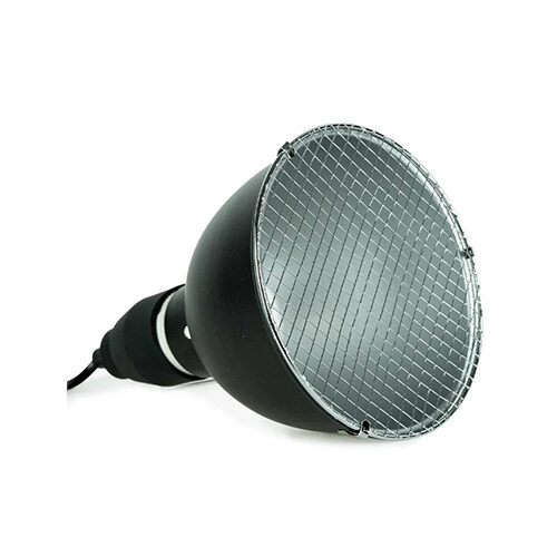 Back Zoo Nature Bird Sun UV-Set - System + Lamp 70W von Back Zoo Nature