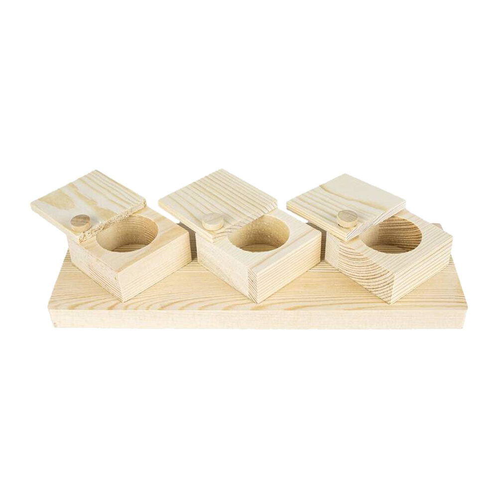 Back Zoo Nature Brain Trainer Cups Back Zoo Nature Brain Trainer Cups von Back Zoo Nature