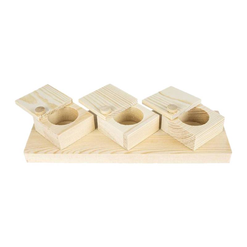 Back Zoo Nature Brain Trainer Cups von Back Zoo Nature
