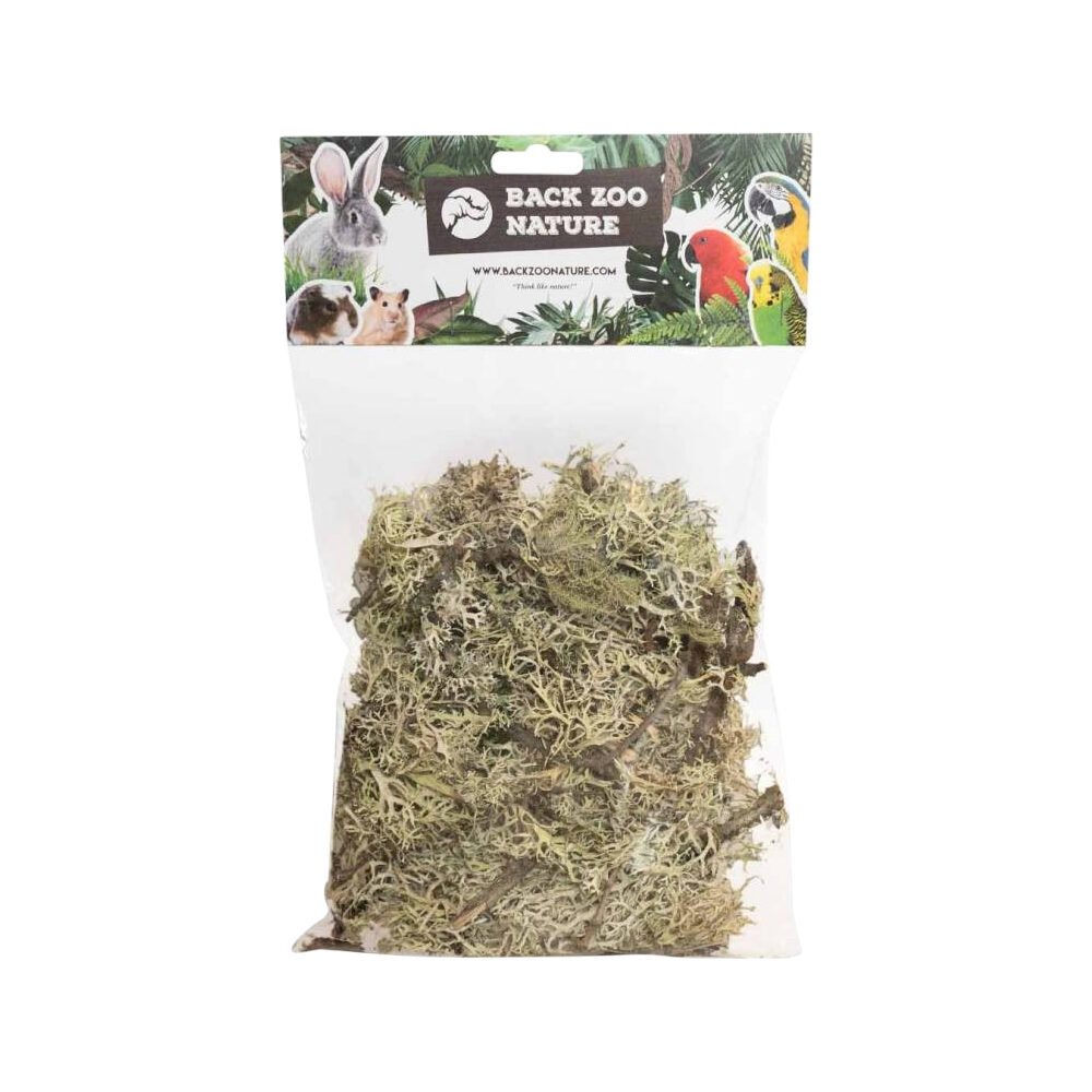 Back Zoo Nature Branch Moss Back Zoo Nature Branch Moss von Back Zoo Nature