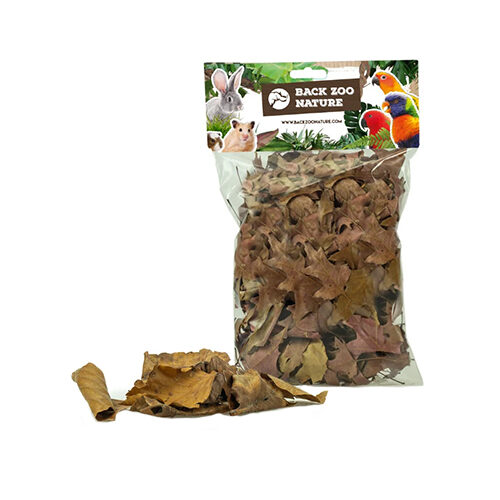 Back Zoo Nature Discovery Leaves - 50 g von Back Zoo Nature
