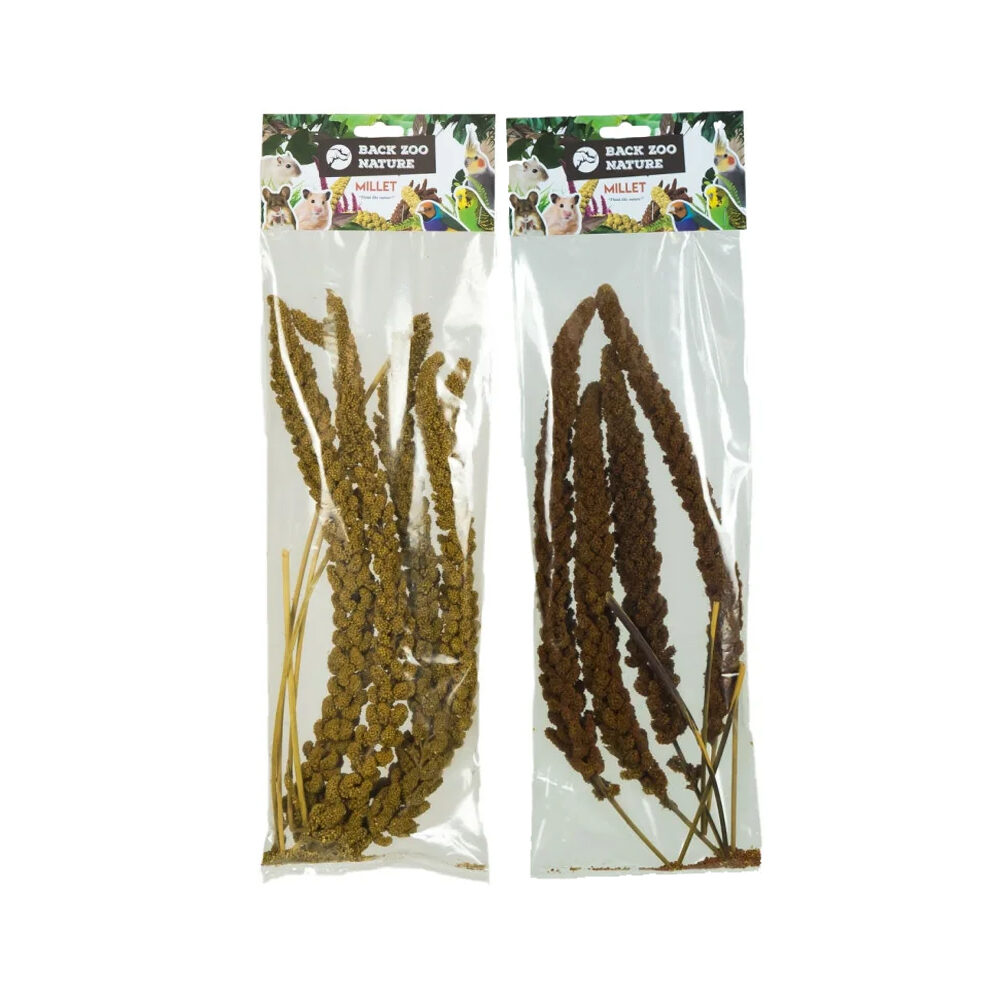 Back Zoo Nature Französische Traubenhirse - Rot - 150 Gramm von Back Zoo Nature