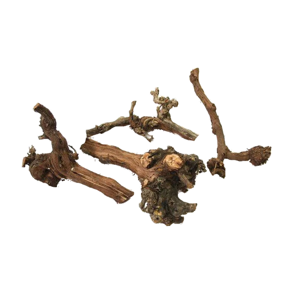 Back Zoo Nature Grapevine Globet von Back Zoo Nature