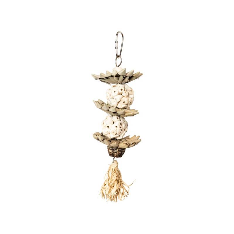 Back Zoo Nature Palm Star von Back Zoo Nature