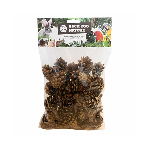 Back Zoo Nature Small Forest Pine Cones - 300 g Back Zoo Nature Small Forest Pine Cones - 300 g von Back Zoo Nature