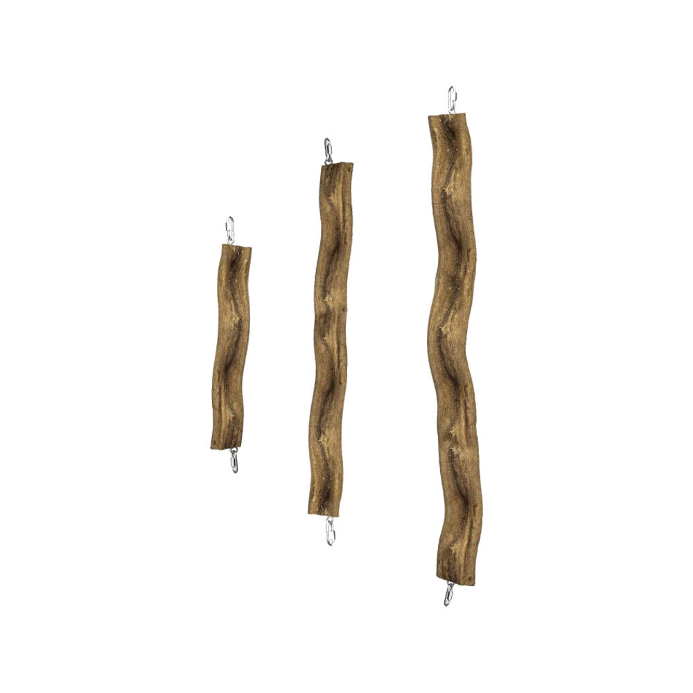 Back Zoo Nature Snake Perch - Medium von Back Zoo Nature