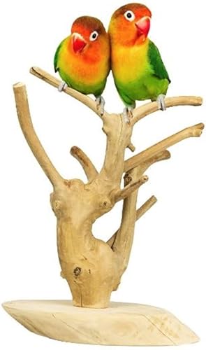 Java-Baum Mini, 18 x 30 x 12 cm. Back Zoo Nature Java-Baum Mini, 18 x 30 x 12 cm. Back Zoo Nature von Back Zoo Nature