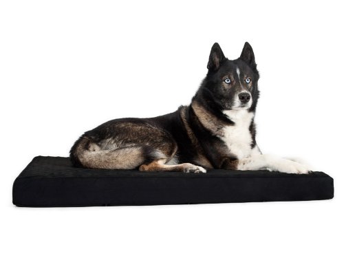 Back on Track Hundematratze 70 x 85 cm schwarz Back on Track Hundematratze 70 x 85 cm schwarz von Back on Track
