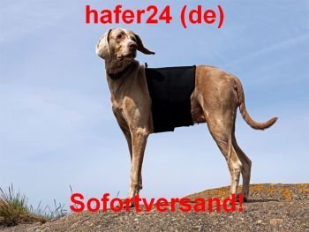 Dog Copenhagen Back-on-Track Lendenwirbelschutz für Hunde, Größe S, Schwarz von DOG Copenhagen