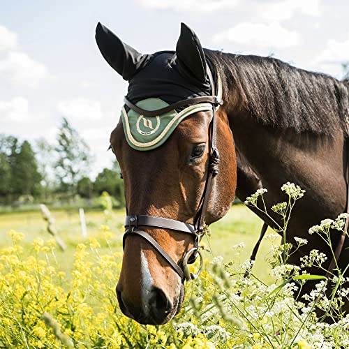 BoT Nights Coll. Fliegenohren Olive Cob von Back on Track