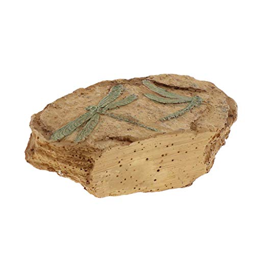 Backbayia Rochers Dekoelement aus Kunstharz, römisch, quadratisch, Stein-Ornament für Aquarien von Backbayia