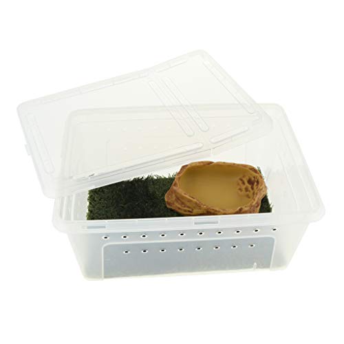 Backbayia Kunststoff Terrarium Reptilien Zuchtbox Fütterung Box für Eidechse, Schildkröte, Geckos, Schlangen (mit Teppich) von Backbayia