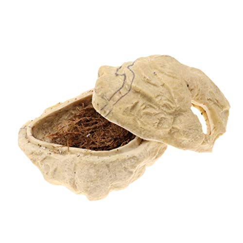 Backbayia Tablett, Reptilien-Form, mit Deckel, Kunstharz, für kleine Haustiere von Backbayia