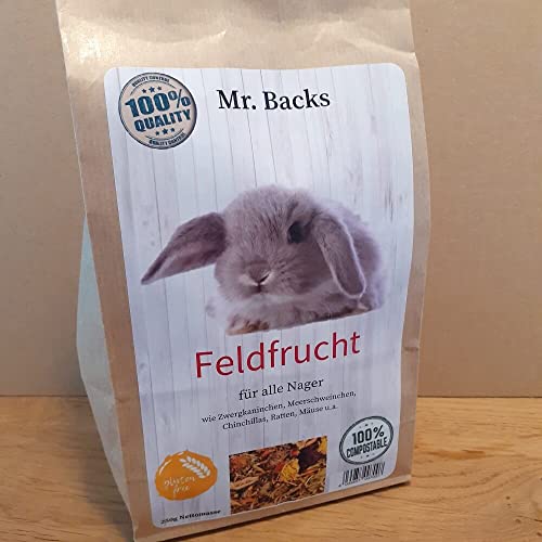 Mr Backs Feldfrucht für Kaninchen und Nager - 250 g - Kräuter und Blütenmischung für Kleintiere Mr Backs Feldfrucht für Kaninchen und Nager - 250 g - Kräuter und Blütenmischung für Kleintiere von Backs