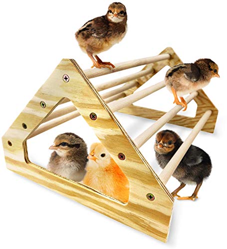 Backyard Barnyard Küken-Sitzstange aus Holz, robust, hergestellt in den USA. Hühnerspielzeug für Stall und Brutstätte für Babyküken, El Pollitos La Pollita Pollos Gallinas Polluelos Backyard Barnyard Küken-Sitzstange aus Holz, robust, hergestellt in den USA. Hühnerspielzeug für Stall und Brutstätte für Babyküken, El Pollitos La Pollita Pollos Gallinas Polluelos von Backyard Barnyard