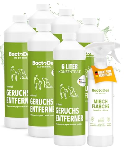 BactoDes - Animal Geruchsneutralisierer 6L Konzentrat mit Spray-Mischflasche - Starker Enzymreiniger Katzenurin, Hundeurin & Tiergerüche - Effektiver Geruchsentferner mit bio Mikroben-Wirkung BactoDes - Animal Geruchsneutralisierer 6L Konzentrat mit Spray-Mischflasche - Starker Enzymreiniger Katzenurin, Hundeurin & Tiergerüche - Effektiver Geruchsentferner mit bio Mikroben-Wirkung von BactoDes