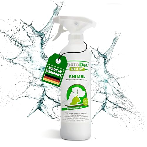BactoDes - Animal Ready Geruchsneutralisierer Sprayflasche 1l gebrauchsfertig - Starker Enzymreiniger Katzenurin, Hundeurin & Tiergerüche - Effektiver Geruchsentferner mit Bio Mikroben-Wirkung von BactoDes
