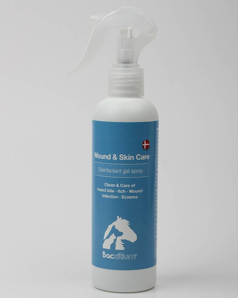 Bacxitium® Gelspray 250 ml bei Insektenstichen von Bacxitium®