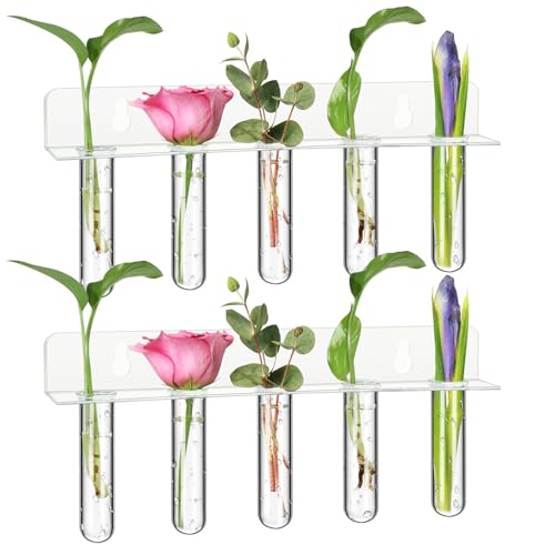 Baderke 2 Set transparente Fenster Wandbehang Pflanze Anzuchtstation Röhren mit LED-Lichtern und Acrylständer Anzucht Pflanzgefäß Glasröhre Vase für Hydrokultur-Pflanzen Schneiden Blumen von Baderke