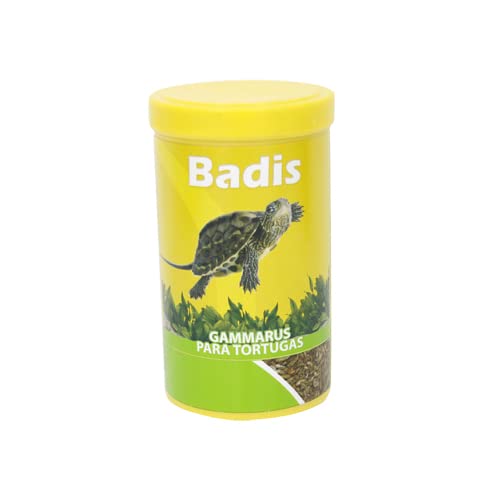 BADIS GAMARUS (1 LT 110 GR) von BADIS
