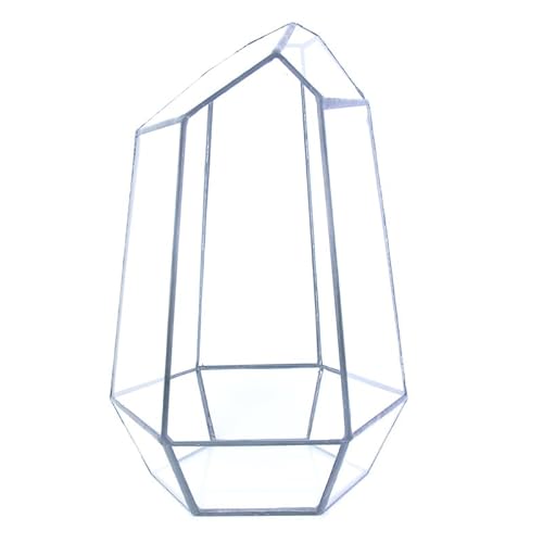 Bafnsiji Glas Terrarium Pflanzer, geometrische Pflanzen Terrarium, geöffnet geometrische Glas Terrarium für Sukkulenten, dekorative Pflanze Caintainer für Luft Pflanzen Sukkulenten von Bafnsiji