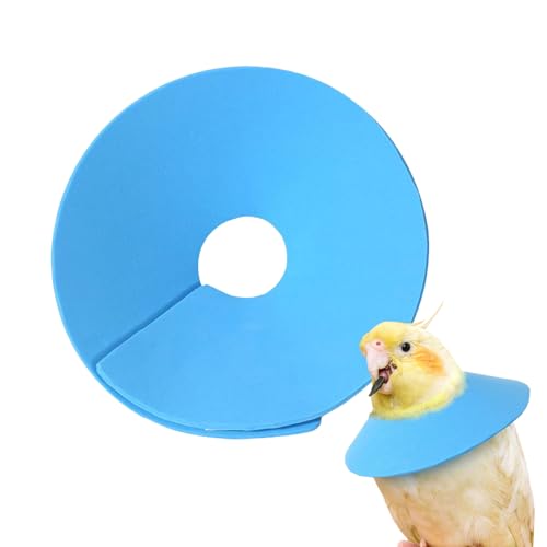 Halskrause für Hamster,Anti-Leck Hamster Elisabethkragen | Anti-Beiß Halsband Für Kleintiere Zur Haarausfall Verhütung Katze Hase Frettchen Sittich Mäuse Training Halskrause für Hamster,Anti-Leck Hamster Elisabethkragen | Anti-Beiß Halsband Für Kleintiere Zur Haarausfall Verhütung Katze Hase Frettchen Sittich Mäuse Training von Bagiaope