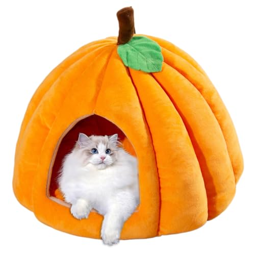 Bai42Ylou Katzenbetten Kürbishöhle, Halloween Cat House Innen, geschlossene Thermalkatze Couch weich Bequeme Dampproof-Katzenbetten für Innenkatzen, l Bai42Ylou Katzenbetten Kürbishöhle, Halloween Cat House Innen, geschlossene Thermalkatze Couch weich Bequeme Dampproof-Katzenbetten für Innenkatzen, l von Bai42Ylou