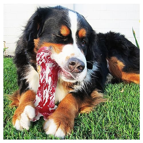 BailingDS Hundespielzeug, Simulationsknochen-Hundespielzeug, Hunde-Kauspielzeug, Haustierspielzeug, Haustier-Hunde-Simulation-Knochenspielzeug, Hundezahnenstab, Hundespielzeug für aggressive Kauer, BailingDS Hundespielzeug, Simulationsknochen-Hundespielzeug, Hunde-Kauspielzeug, Haustierspielzeug, Haustier-Hunde-Simulation-Knochenspielzeug, Hundezahnenstab, Hundespielzeug für aggressive Kauer, von BailingDS