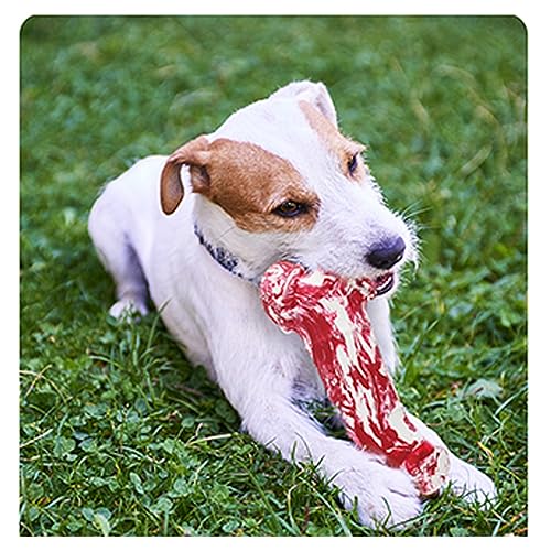 BailingDS Hundespielzeug, Simulationsknochen-Hundespielzeug, Kauspielzeug, Haustierspielzeug, Haustier-Hunde-Simulationsknochenspielzeug, Hundezahnenstab, Hundespielzeug für aggressive Kauer, BailingDS Hundespielzeug, Simulationsknochen-Hundespielzeug, Kauspielzeug, Haustierspielzeug, Haustier-Hunde-Simulationsknochenspielzeug, Hundezahnenstab, Hundespielzeug für aggressive Kauer, von BailingDS