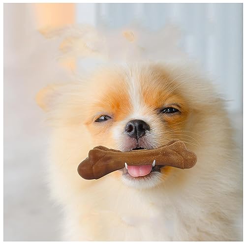 BailingDS Hundespielzeug Realistische Knochen Hundespielzeug Hund Kauspielzeug Haustier Spielzeug Hundespielzeug für Aggressive Kauer Hundespielzeug für Große Hunde BailingDS Hundespielzeug Realistische Knochen Hundespielzeug Hund Kauspielzeug Haustier Spielzeug Hundespielzeug für Aggressive Kauer Hundespielzeug für Große Hunde von BailingDS