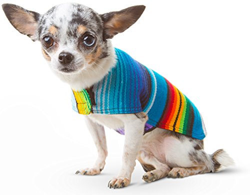 Hundekleidung – Handgefertigter Hundeponcho – Cinco De Mayo Chihuahua Kostüm aus authentischer mexikanischer Decke (Blau, XS) von Baja Ponchos