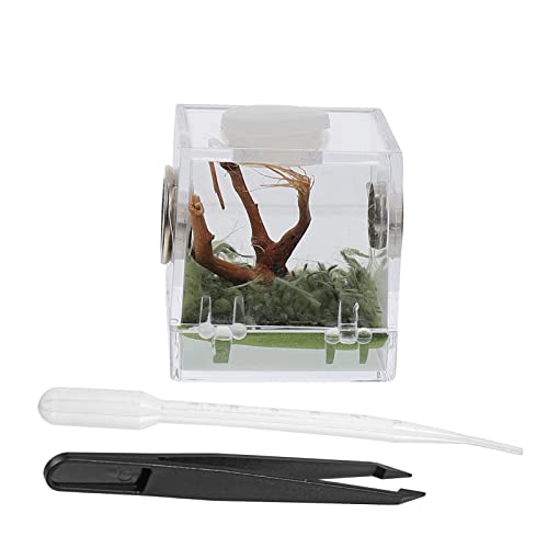 Critter- Keeper Jumping Spider- Gehäuse- Schnecke- Container Reptil Terrarium- Zucht- Tank Acryl- Haustier- Reptil- Box für Schneckenspinne Reptilien Transparent Critter- Keeper Jumping Spider- Gehäuse- Schnecke- Container Reptil Terrarium- Zucht- Tank Acryl- Haustier- Reptil- Box für Schneckenspinne Reptilien Transparent von balacoo