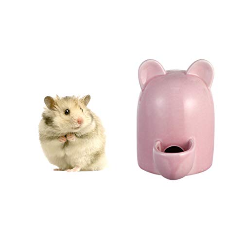 balacoo Hamster Wasserflasche Meerschweinchen Trinknapf Feeder Flasche Keramik Stille Automatische Tränke für Kleine Haustiere Vogeligel Chinchilla Frettchen - 100Ml von balacoo