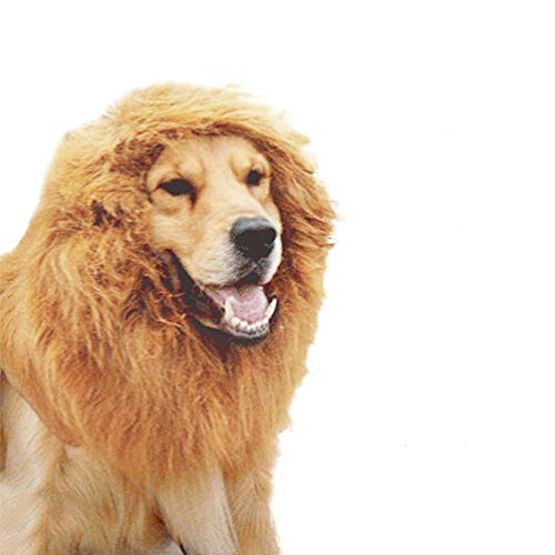 balacoo Löwenhaar Hund Löwenmähne Hund Löwe Kostüm Medium Löwenkostüm Hundekostüme Für Mittelgroße Hunde Hundemähne Mähne Für Hund Löwenhaar Für Hunde Einbiegen in Verwandlungs-Outfit von balacoo