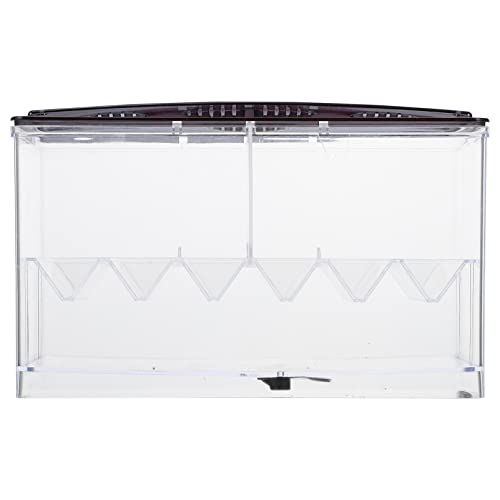 Reptilzuchtbox Terrarium Tank: Transparente Acryl- Fütterungsbox Spinnenzuchtkoffer Klar Eidechse Habitat Käfig Für Insekt Reptilien Tarantulas von balacoo