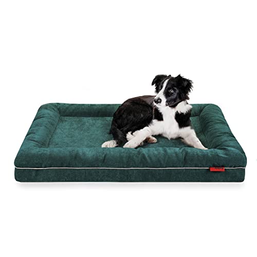 Balkis Hundebett Divan, Made in Germany, Smaragd, L - 105x75 cm von Balkis