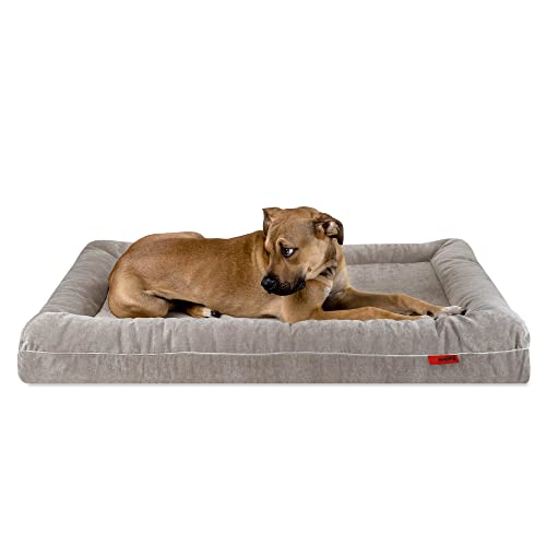 Balkis Hundebett Divan, Made in Germany, Steingrau, XL - 125x90 cm von Balkis