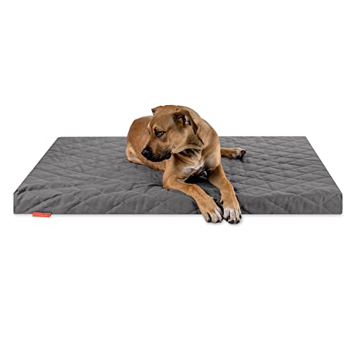 Balkis Hundebett Flat, Made in Germany, Steingrau, XL - 125x90 cm von Balkis