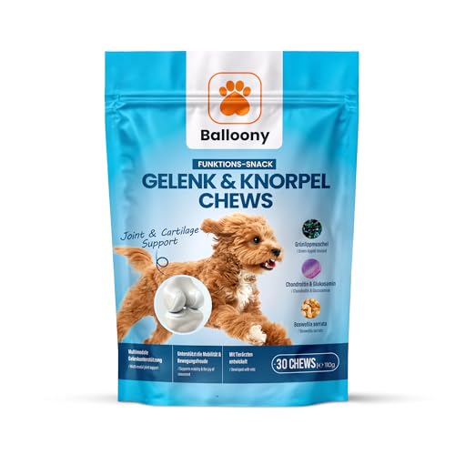 Balloony.pet Gelenk & Knorpel Kaustreifen für Hunde – Snacks mit Grünlippmuschel, Glucosamin, Chondroitin & Boswellia – Für Beweglichkeit & Gelenkgesundheit – Mit Tierärzten entwickelt (350g) von Balloony