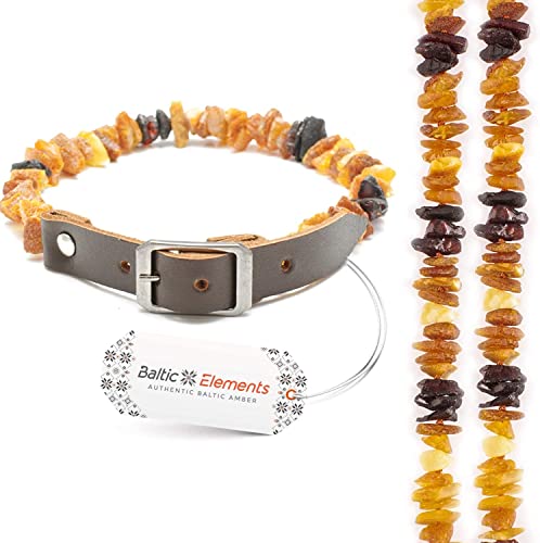 Bernsteinhalsband Hunde, Bernsteinkette Hund (22-24 cm) von Baltic Elements