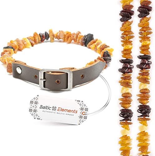 Bernsteinhalsband Hunde, Bernsteinkette Hund (28-30 cm) von Baltic Elements