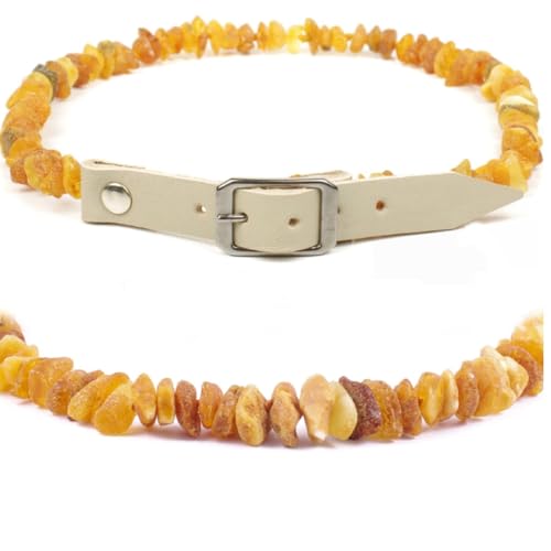 Echte Bernsteinkette für Hund & Katze – Bernstein Halsband mit Verstellbarem Lederband, das deinem Liebling einen einzigartigen Look verleiht. Funkelnd und Trendy! (GRAU, 28-30 cm) von Baltic Secret Selected Baltic Amber
