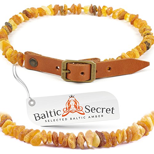 Natürlicher Zeckenschutz: Bernsteinkette für Hunde & Katzen - Hochwertiges Bernstein Halsband für Haustiere - Handgefertigt & Effektiv gegen Zecken und Flöhe (ORANGE Leder, 20-22 cm) von Baltic Secret Selected Baltic Amber