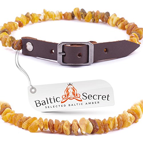 Baltic Secret Bernsteinkette Hund, Zeckenschutz Hunde, Bernsteinhalsband Hunde, Flöhe Hund, Zeckenschutz Katze von Baltic Secret