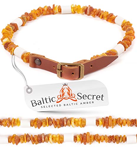 Baltic Secret Bernsteinkette Hund mit EM Keramik Pipes - Effektive MIKROORGANISMEN - Bernsteinhalsband Hunde - Bernstein - Zeckenschutz von Baltic Secret