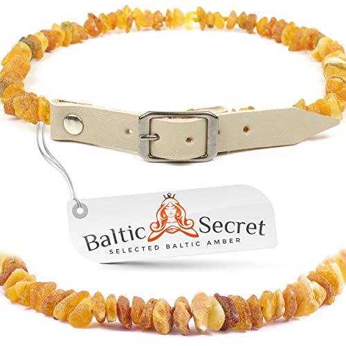 Bernsteinkette hund - Zeckenschutz ohne Chemie - Bernsteinhalsband für Hunde & Katzen, mit 100% Lederband, aus rohem baltischem Bernstein gegen zecken, Zeckenschutz, Flohhalsband katze von Baltic Secret Selected Baltic Amber