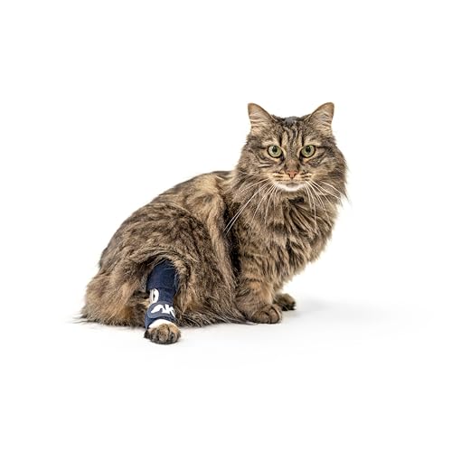 Balto Feline Hock Brace – Katzen-Knöchelbandage – Bandage mit Aluminiumschienen – Vor- und Nachoperationen hilft bei Arthritis und instabilen Gelenken – Rücken- und Beinstütze (extra klein) von Balto